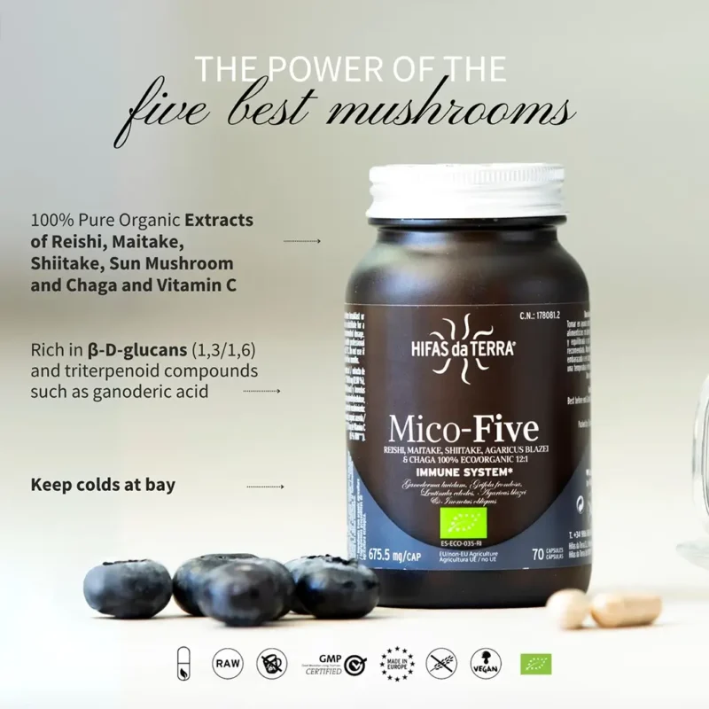 Mico-Five Extractos puros de Reishi, Shiitake, Maitake, Champiñón del sol y Chaga (70 cáps. veganas 675.5 mg) - Imagen 2