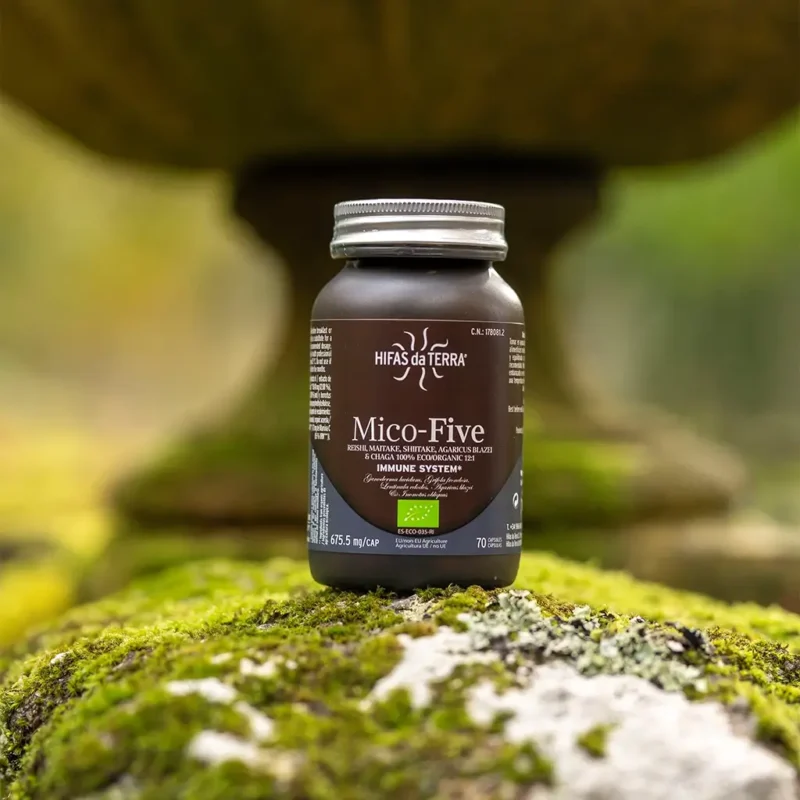 Mico-Five Extractos puros de Reishi, Shiitake, Maitake, Champiñón del sol y Chaga (70 cáps. veganas 675.5 mg) - Imagen 5