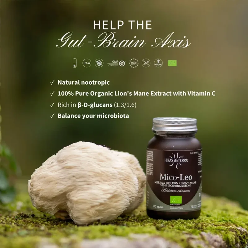 Mico-Leo Extracto Puro ECO de Melena de León (70 cáps. veganas 675 mg) - Imagen 2